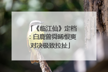 《临江仙》定档：白鹿曾舜晞恨爽对决极致拉扯