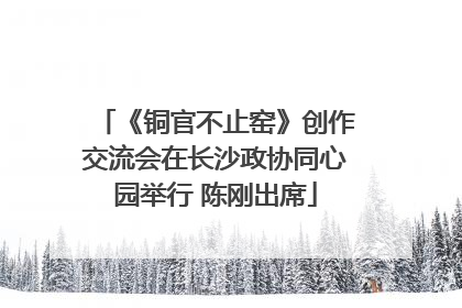 《铜官不止窑》创作交流会在长沙政协同心园举行 陈刚出席