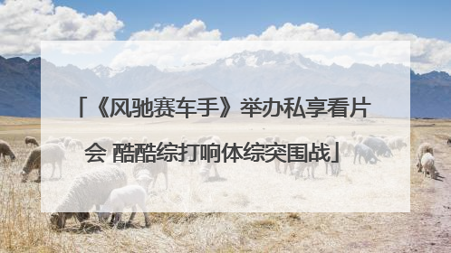 《风驰赛车手》举办私享看片会 酷酷综打响体综突围战