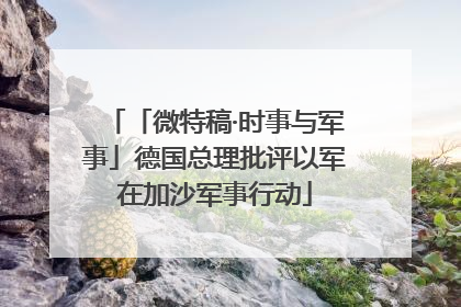 「微特稿·时事与军事」德国总理批评以军在加沙军事行动