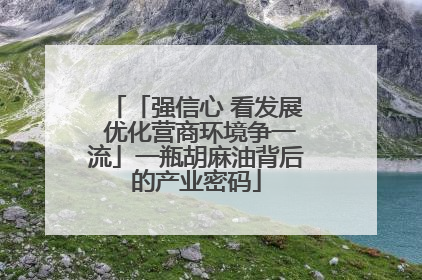 「强信心 看发展 优化营商环境争一流」一瓶胡麻油背后的产业密码