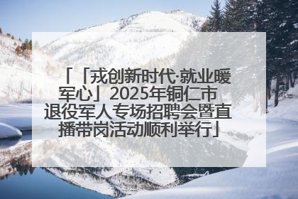 「戎创新时代·就业暖军心」2025年铜仁市退役军人专场招聘会暨直播带岗活动顺利举行