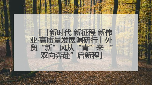 「新时代 新征程 新伟业·高质量发展调研行」外贸“新”风从“青”来 “双向奔赴”启新程