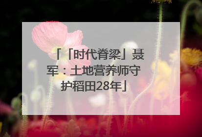 「时代脊梁」聂军：土地营养师守护稻田28年