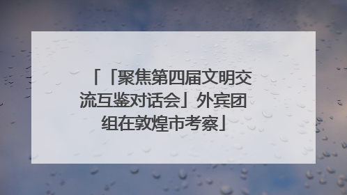 「聚焦第四届文明交流互鉴对话会」外宾团组在敦煌市考察