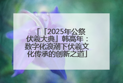 「2025年公祭伏羲大典」韩高年：数字化浪潮下伏羲文化传承的创新之道