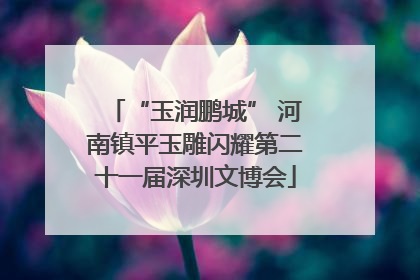 “玉润鹏城” 河南镇平玉雕闪耀第二十一届深圳文博会