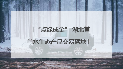 “点绿成金” 湖北首单水生态产品交易落地