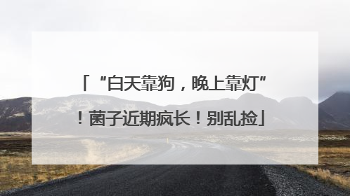 “白天靠狗，晚上靠灯”！菌子近期疯长！别乱捡