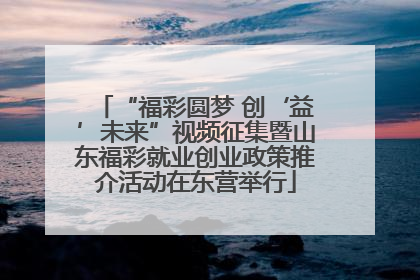 “福彩圆梦 创‘益’未来”视频征集暨山东福彩就业创业政策推介活动在东营举行