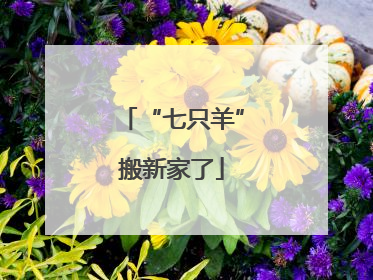 “七只羊”搬新家了