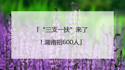 “三支一扶”来了！湖南招600人