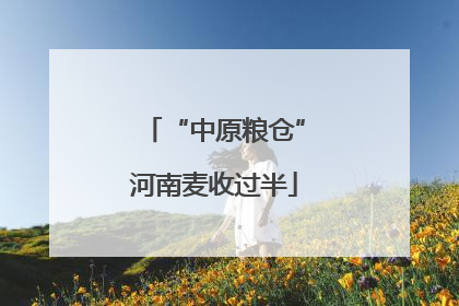 “中原粮仓”河南麦收过半