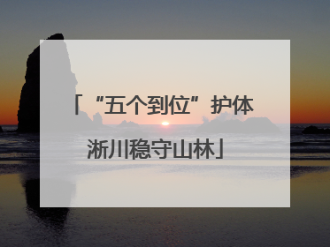 “五个到位”护体 淅川稳守山林