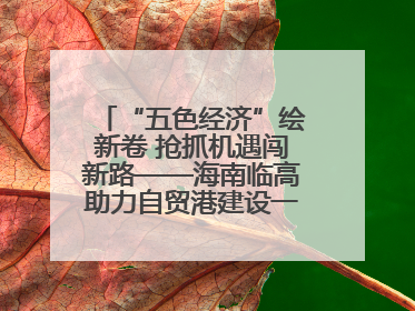 “五色经济”绘新卷 抢抓机遇闯新路——海南临高助力自贸港建设一线见闻