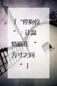 “停狗位 ”：让温情藏在 “方寸之间 ”