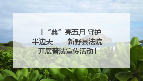 “典”亮五月 守护半边天——新野县法院开展普法宣传活动