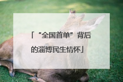 “全国首单”背后的淄博民生情怀