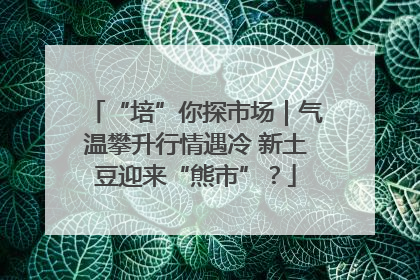 “培”你探市场｜气温攀升行情遇冷 新土豆迎来“熊市”？