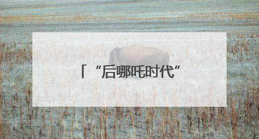 “后哪吒时代”，暑期档会有爆款动画电影吗？