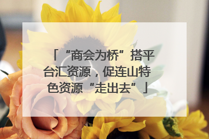 “商会为桥”搭平台汇资源，促连山特色资源“走出去”
