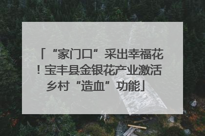 “家门口”采出幸福花！宝丰县金银花产业激活乡村“造血”功能