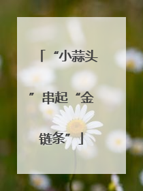 “小蒜头”串起“金链条”