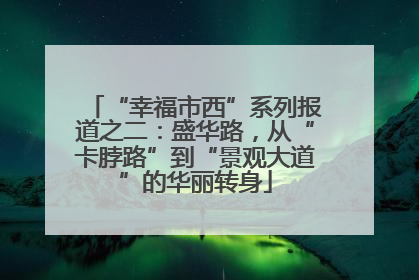 “幸福市西”系列报道之二：盛华路，从“卡脖路”到“景观大道”的华丽转身