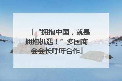 “拥抱中国，就是拥抱机遇！”多国商会会长呼吁合作
