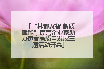 “林都聚智 新质赋能”民营企业家助力伊春高质量发展主题活动开幕