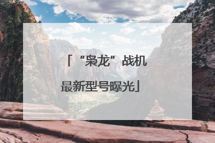 “枭龙”战机最新型号曝光