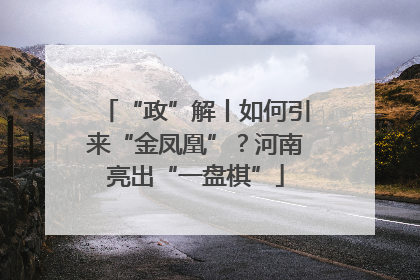 “政”解丨如何引来“金凤凰”？河南亮出“一盘棋”