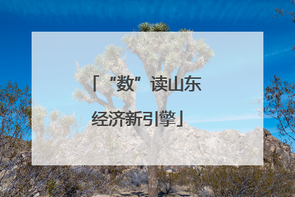 “数”读山东经济新引擎