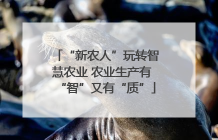 “新农人”玩转智慧农业 农业生产有“智”又有“质”