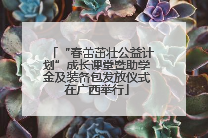 “春蕾茁壮公益计划”成长课堂暨助学金及装备包发放仪式在广西举行