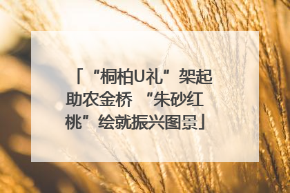 “桐柏U礼”架起助农金桥 “朱砂红桃”绘就振兴图景