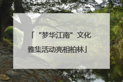 “梦华江南”文化雅集活动亮相柏林