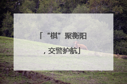“棋”聚衡阳，交警护航