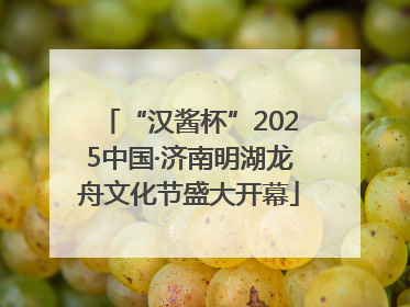 “汉酱杯”2025中国·济南明湖龙舟文化节盛大开幕