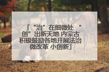 “治”在细微处 “创”出新天地 内蒙古积极鼓励各地开展法治微改革 小创新