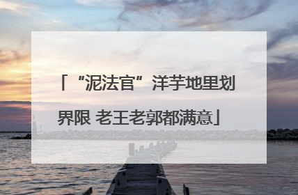 “泥法官”洋芋地里划界限 老王老郭都满意