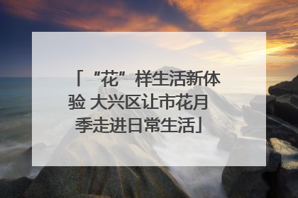“花”样生活新体验 大兴区让市花月季走进日常生活