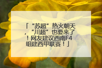 “苏超”热火朝天，“川超”也要来了！网友建议西南F4组建西甲联赛！