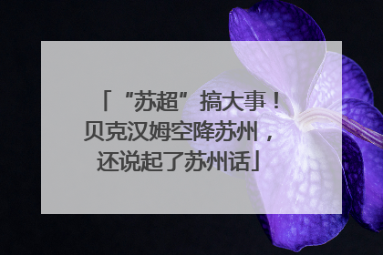“苏超”搞大事！贝克汉姆空降苏州，还说起了苏州话