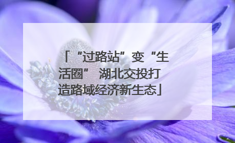 “过路站”变“生活圈” 湖北交投打造路域经济新生态