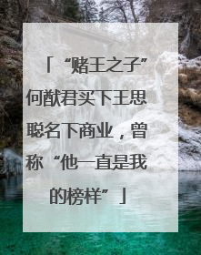 “赌王之子”何猷君买下王思聪名下商业，曾称“他一直是我的榜样”