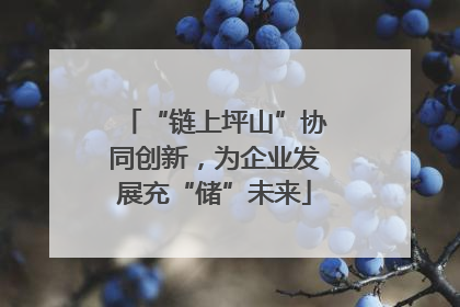 “链上坪山”协同创新，为企业发展充“储”未来