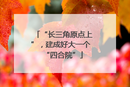 “长三角原点上”，建成好大一个“四合院”