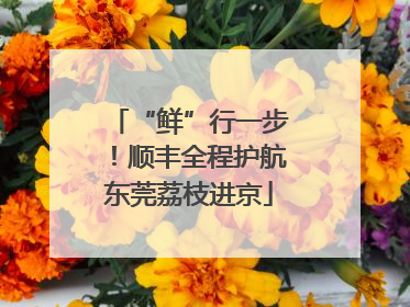 “鲜”行一步！顺丰全程护航东莞荔枝进京