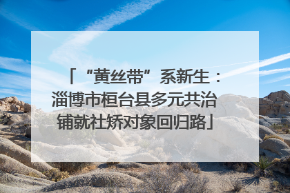 “黄丝带”系新生：淄博市桓台县多元共治铺就社矫对象回归路